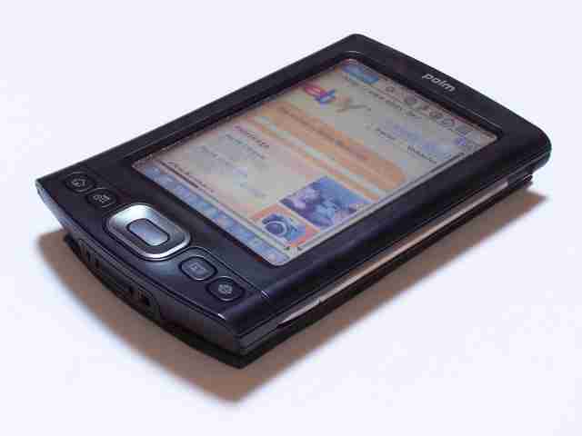 Palm